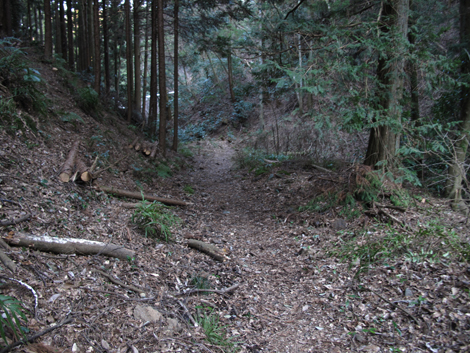20160128hike (407)